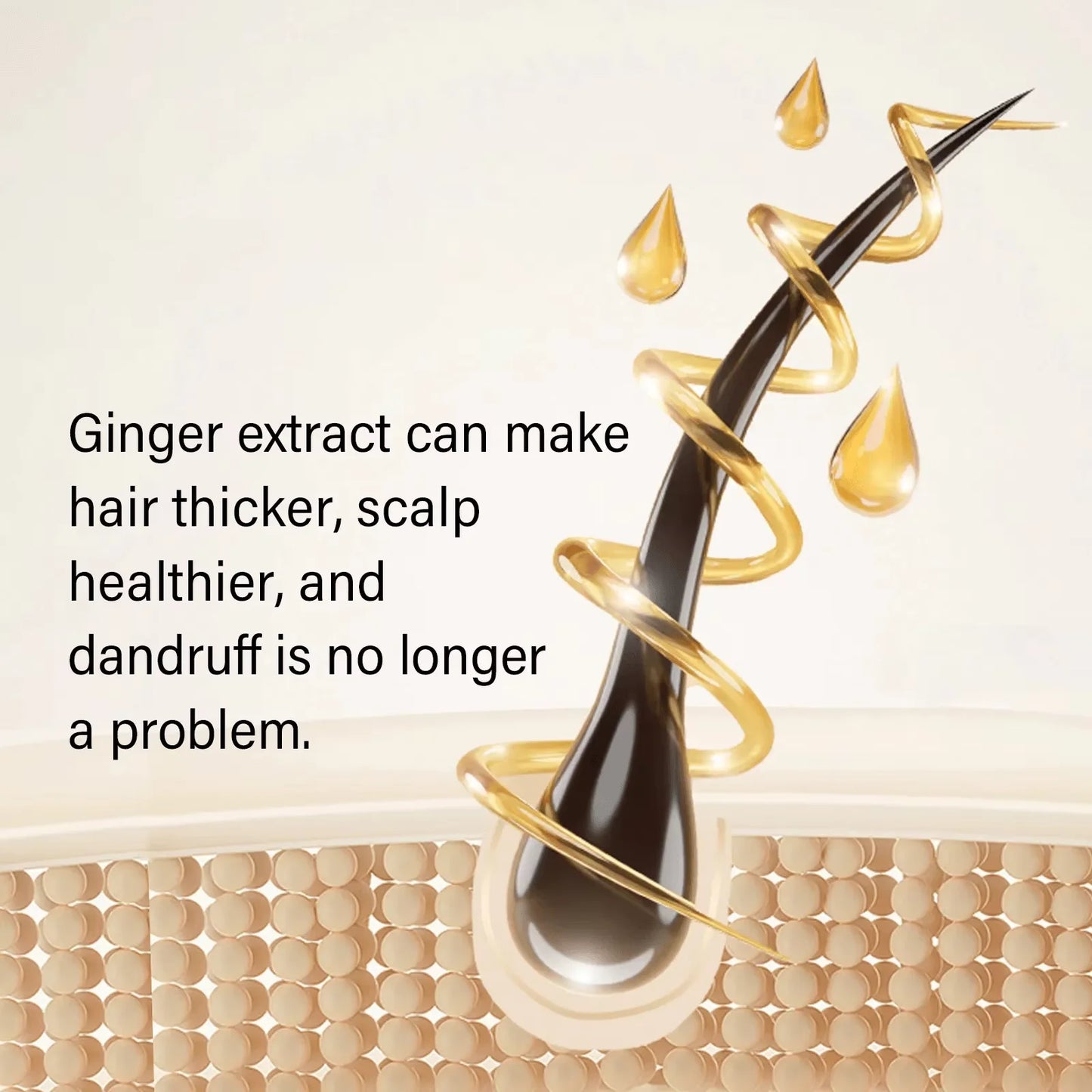 Anti Hair Loss Shampoo Deep Cleansing Dandruff Remover Improve Frizz Refreshing Oil Control Ginger Polygonum Multiflorum Shampoo